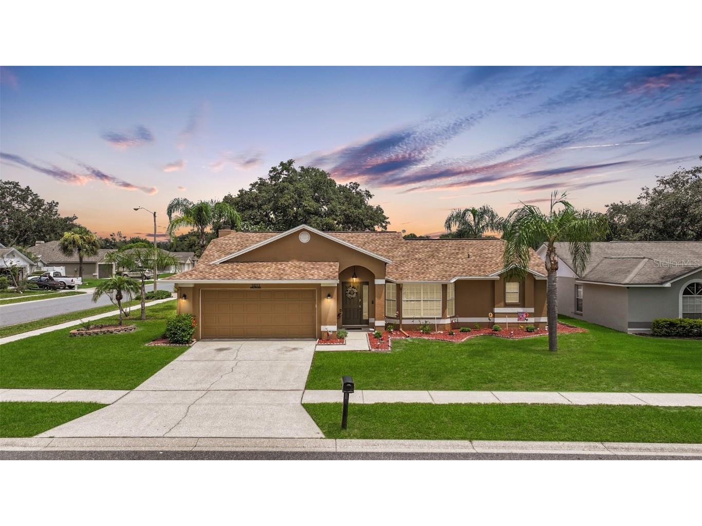 24213 Twin Lake Drive Land O Lakes FL 34639 U8252098 image1