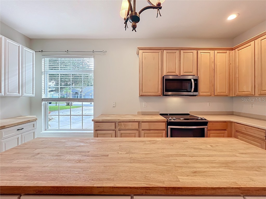 24214 Marbella Drive Sorrento FL 32776 G5102782 image20