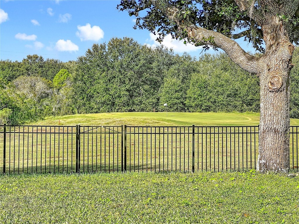 24214 Marbella Drive Sorrento FL 32776 G5102782 image54