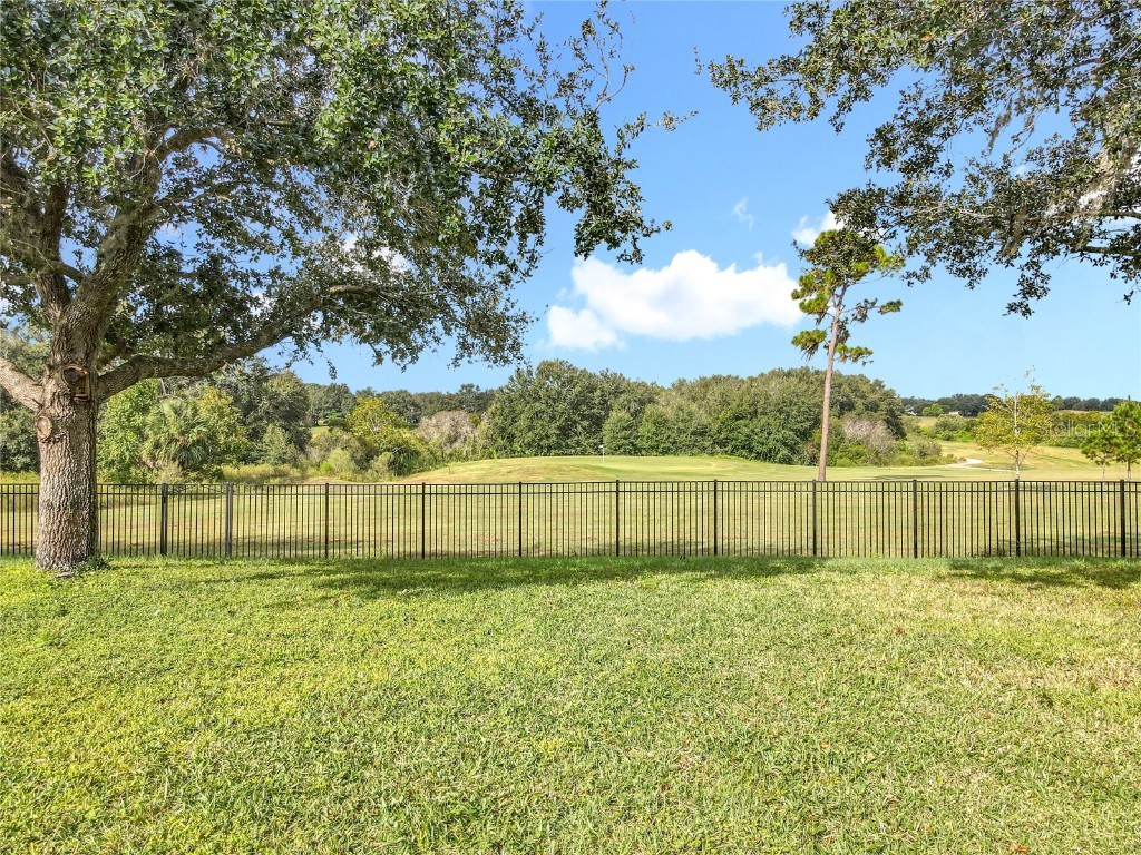 24214 Marbella Drive Sorrento FL 32776 G5102782 image55