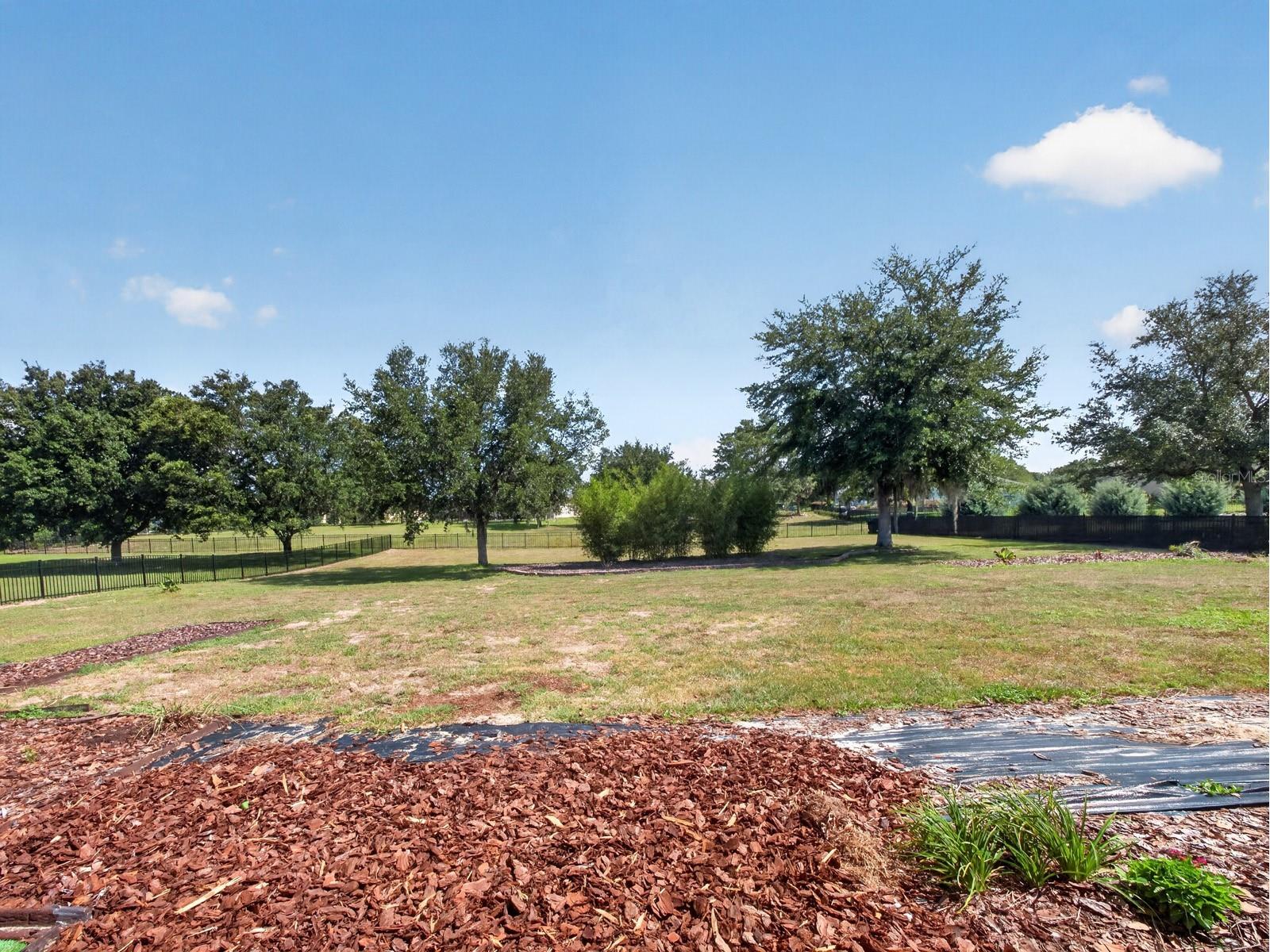24215 Weldon Drive Eustis FL 32736 O6410352 image43
