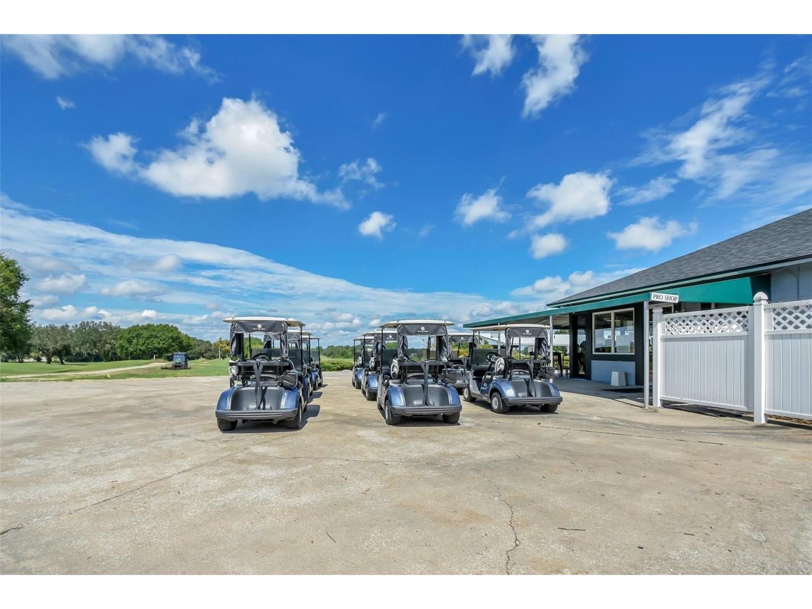 24215 Weldon Drive Eustis FL 32736 O6410352 image50
