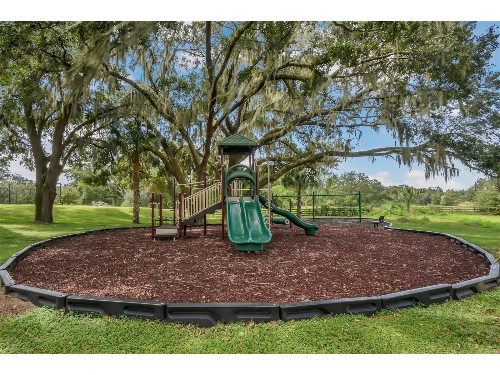24215 Weldon Drive Eustis FL 32736 O6410352 image53