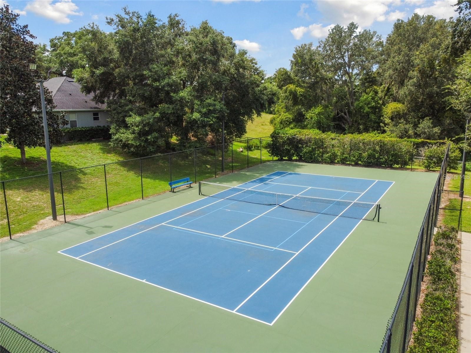 24215 Weldon Drive Eustis FL 32736 O6410352 image54