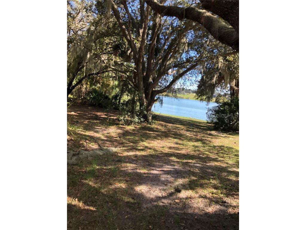 24216 Bear Den Drive, Eustis, FL, 32736 MLS G5082388 Edina Realty