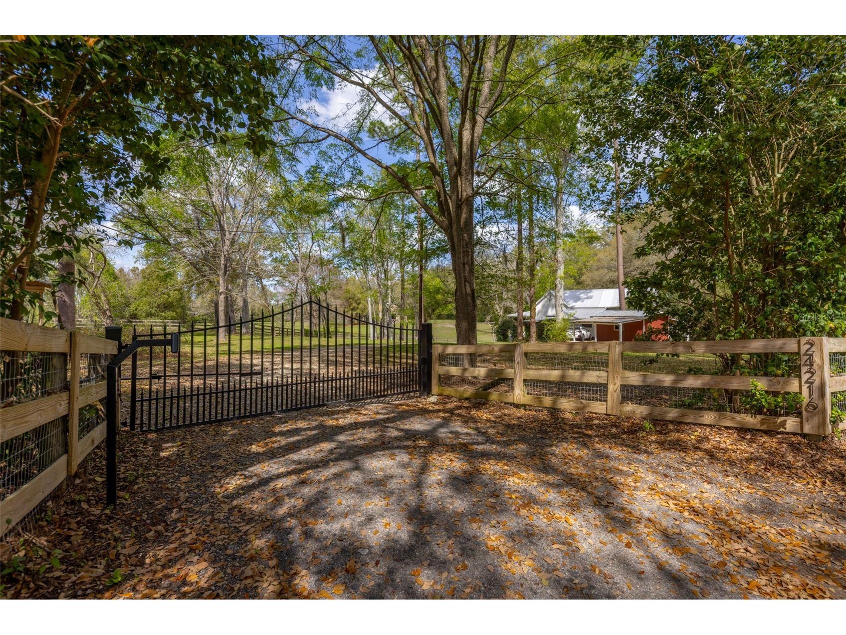 24216 NW 62nd Avenue Alachua FL 32615 G5110866 image11