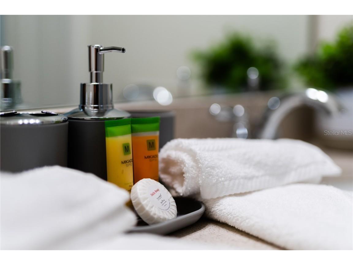 2422 Dubai Street Kissimmee FL 34747 O6328333 image54