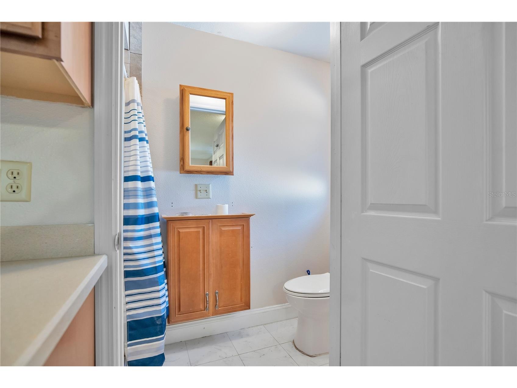 2422 Sweetbriar Court Kissimmee FL 34744 O6403504 image18