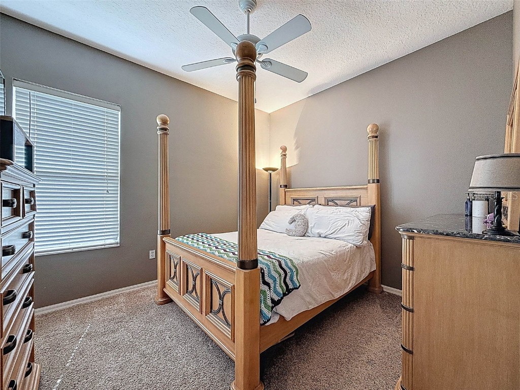 2422 Wood Pointe Drive Holiday FL 34691 W7880280 image33