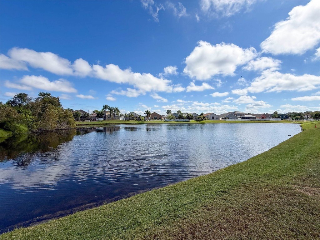 2422 Wood Pointe Drive Holiday FL 34691 W7880280 image44