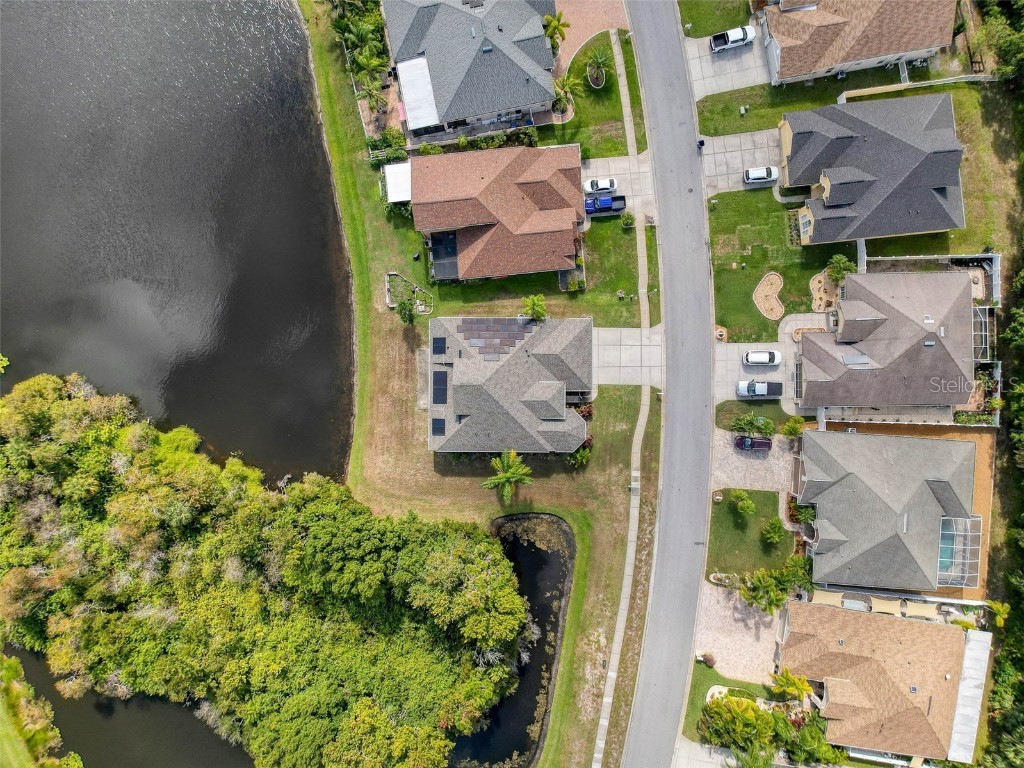 2422 Wood Pointe Drive Holiday FL 34691 W7880280 image45