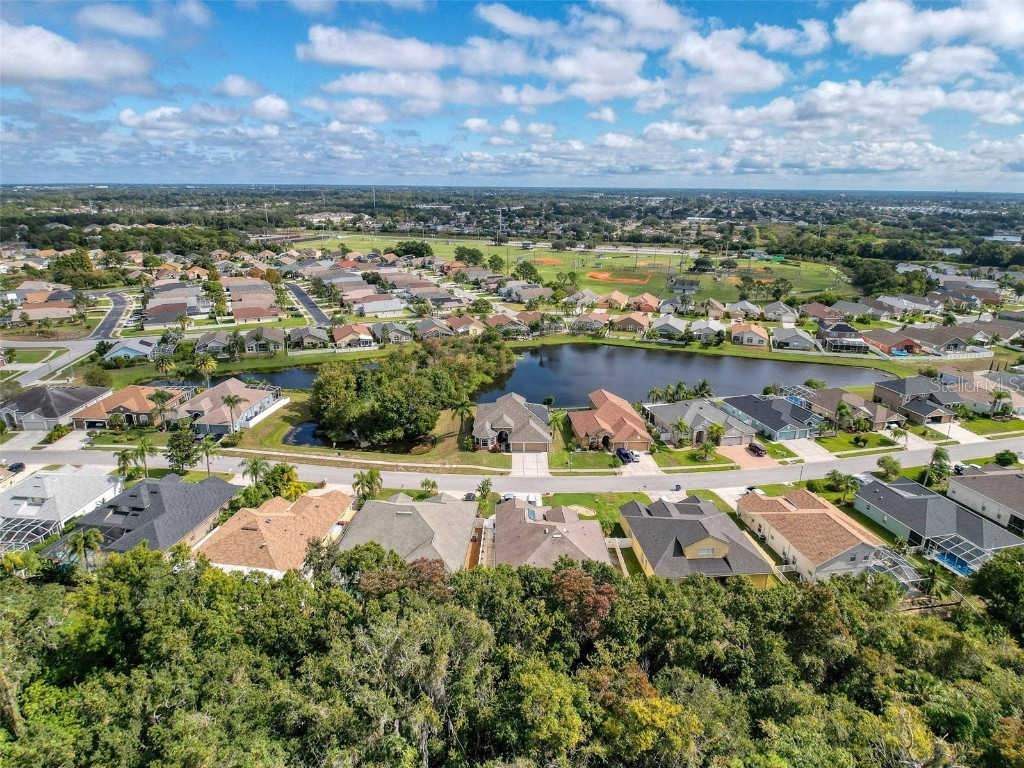 2422 Wood Pointe Drive Holiday FL 34691 W7880280 image47