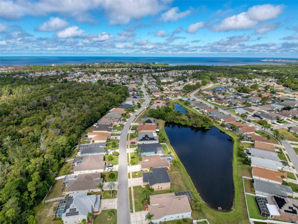 2422 Wood Pointe Drive Holiday FL 34691 W7880280 image49