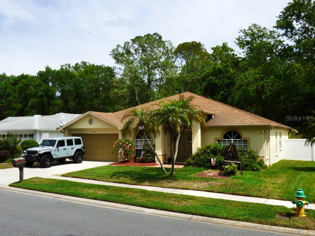 24227 Painter Drive Land O Lakes FL 34639 T3516718 image1