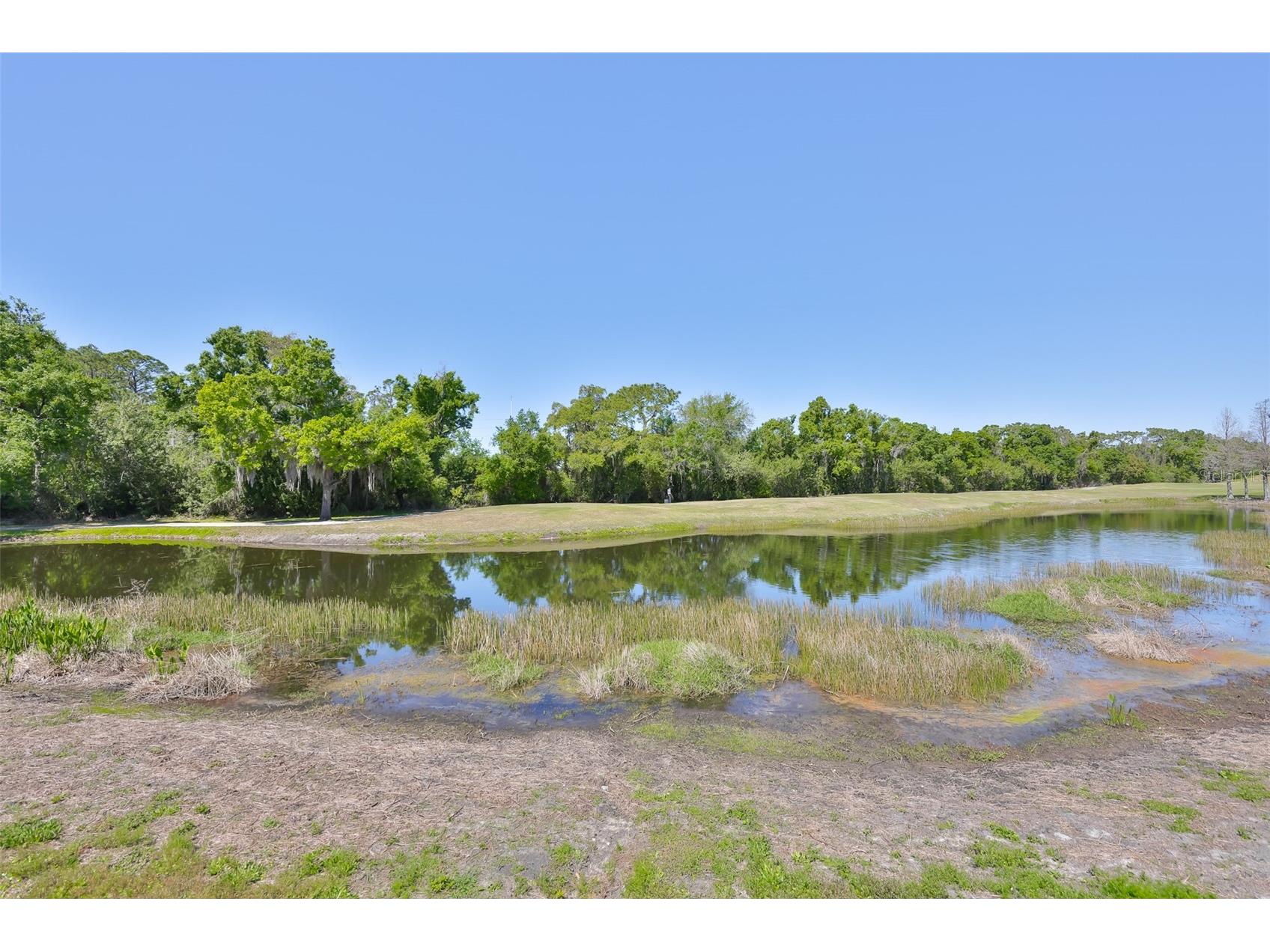 2423 Richmond Greens Court Sun City Center FL 33573 TB8490630 image42