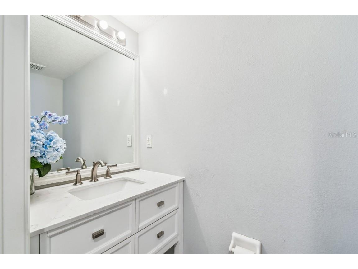 24231 Satinwood Court Lutz FL 33559 TB8371212 image28