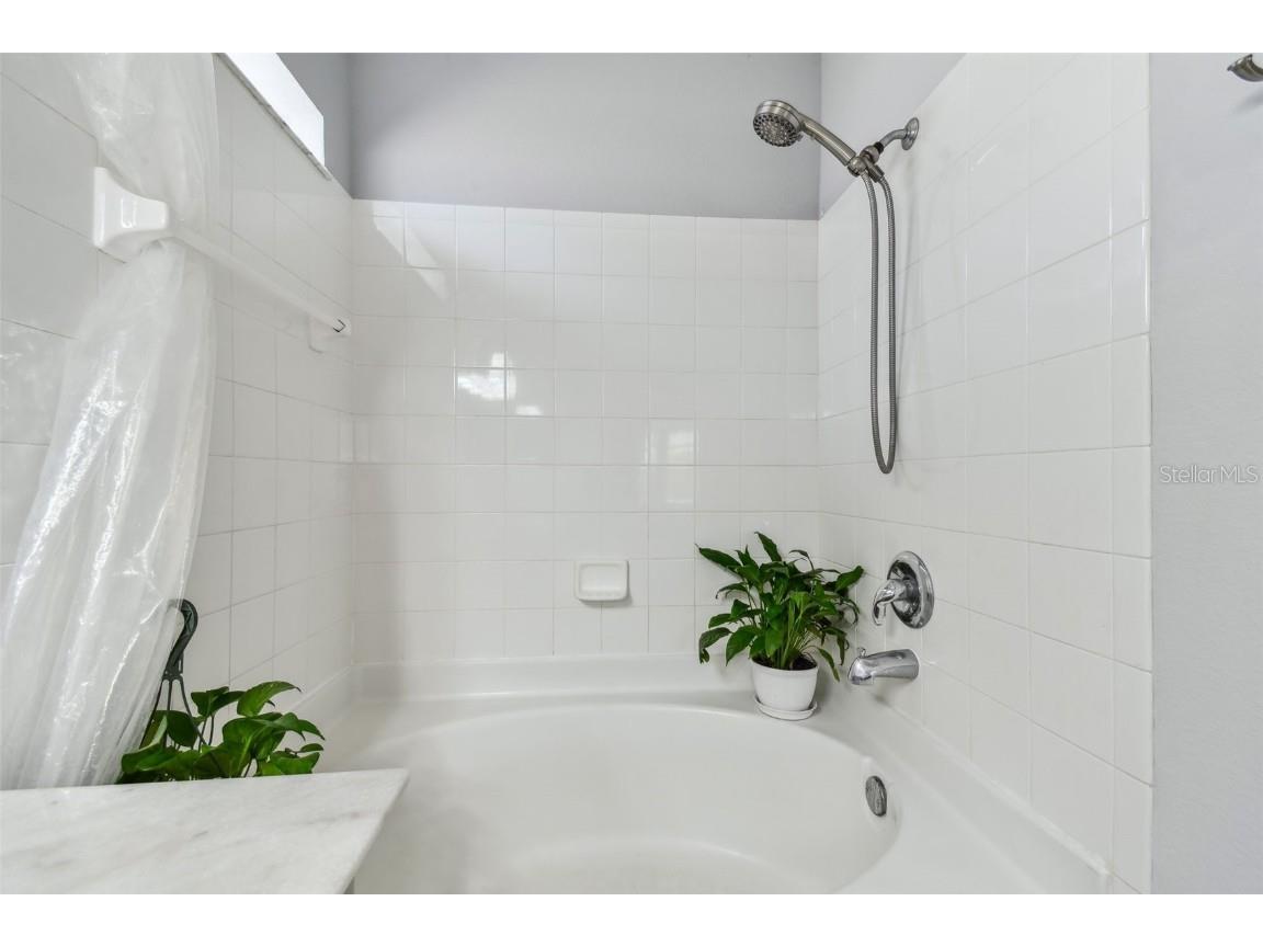 24231 Satinwood Court Lutz FL 33559 TB8371212 image33