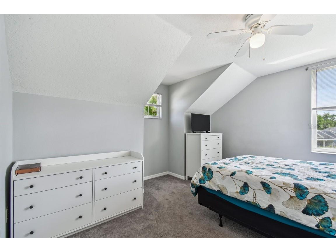 24231 Satinwood Court Lutz FL 33559 TB8371212 image36