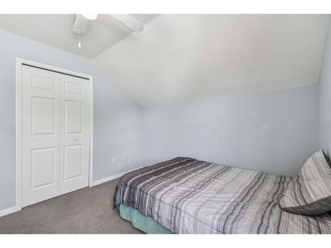 24231 Satinwood Court Lutz FL 33559 TB8371212 image49