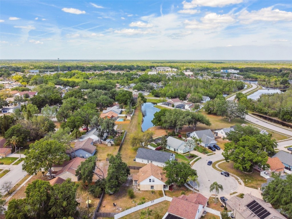 24231 Satinwood Court Lutz FL 33559 TB8371212 image54