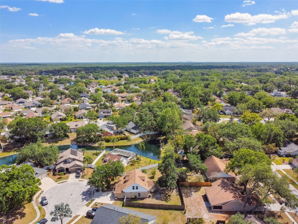 24231 Satinwood Court Lutz FL 33559 TB8371212 image55