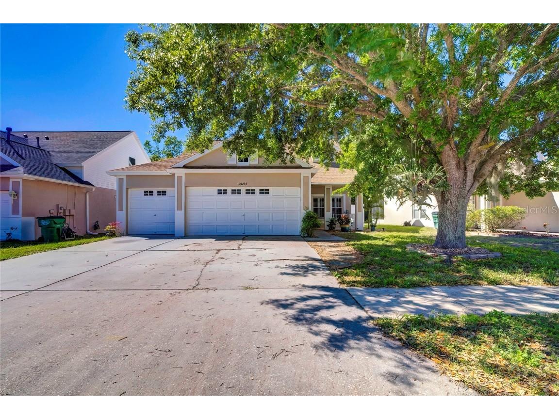 24234 Denali Court Lutz FL 33559 W7863305 image1