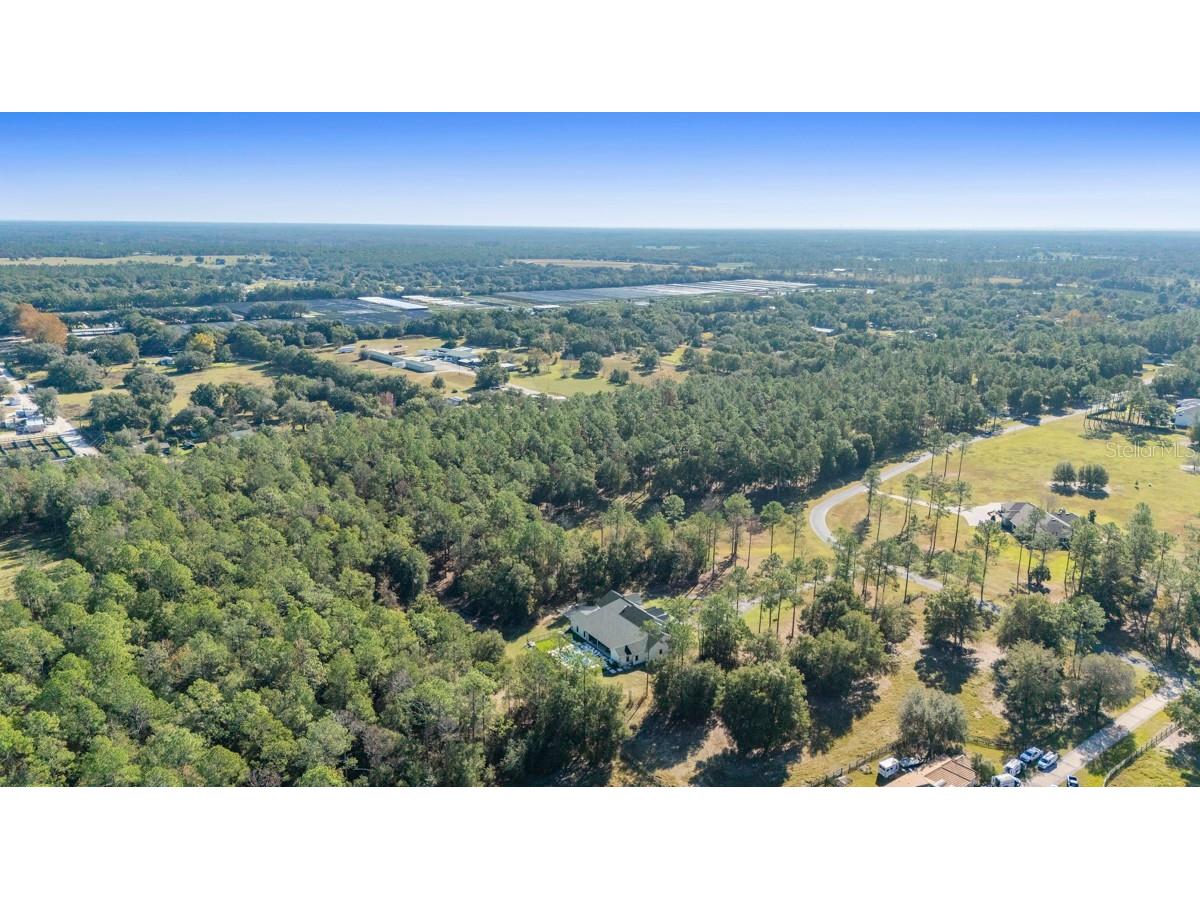 24238 Deep Springs Loop Eustis FL 32736 O6409401 image8