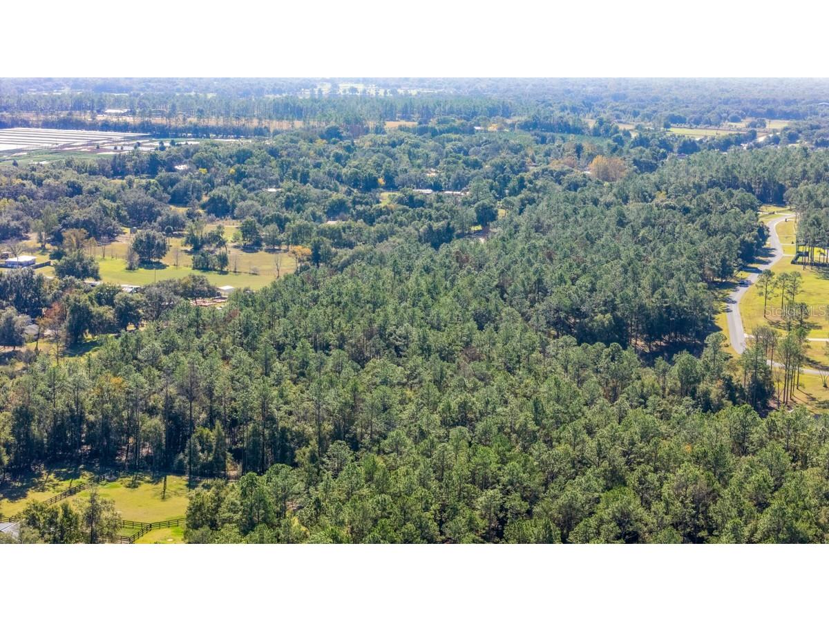 24238 Deep Springs Loop Eustis FL 32736 O6409401 image9