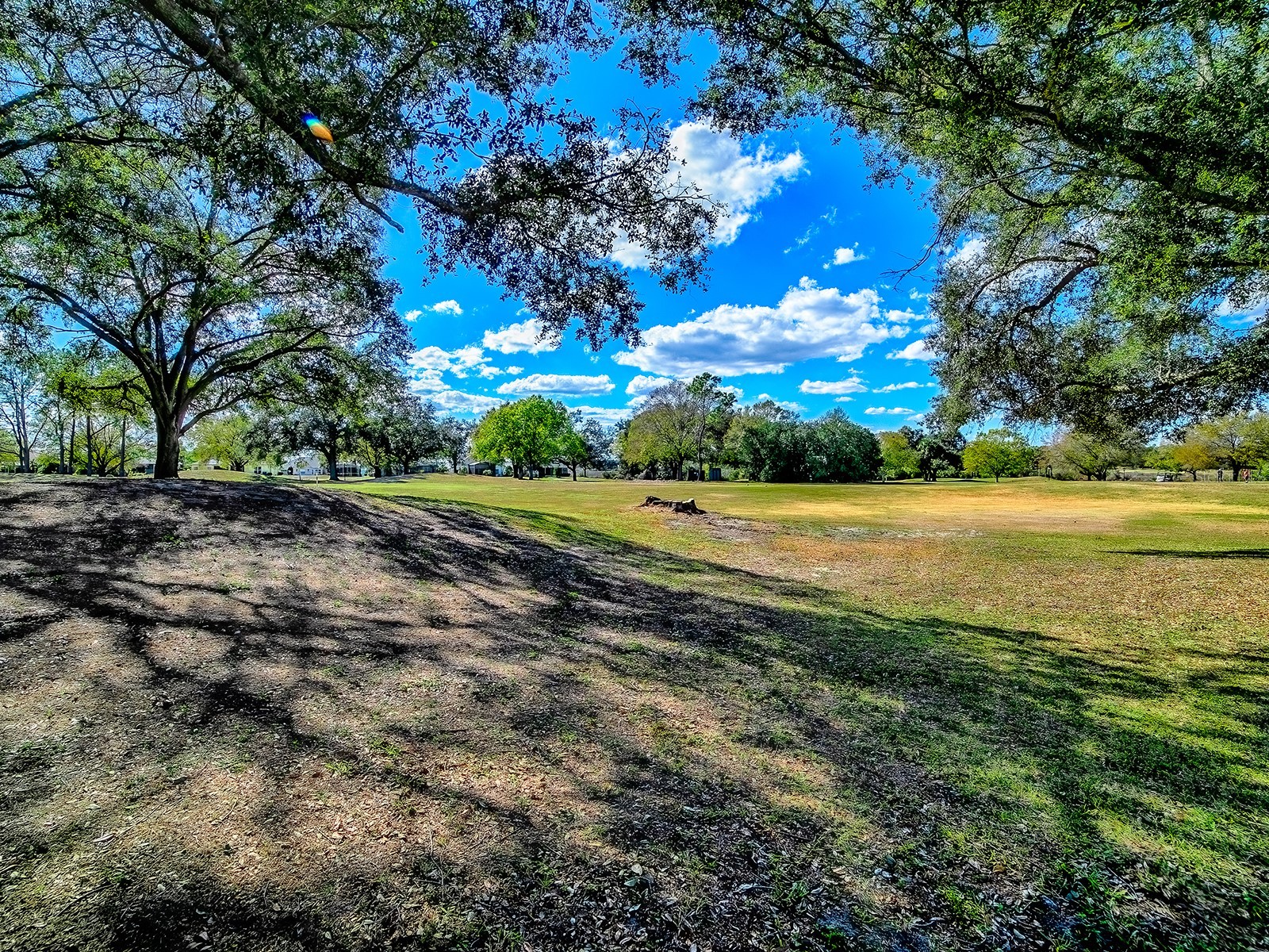 24239 Belle Mede Drive Leesburg FL 34748 G5107374 image14