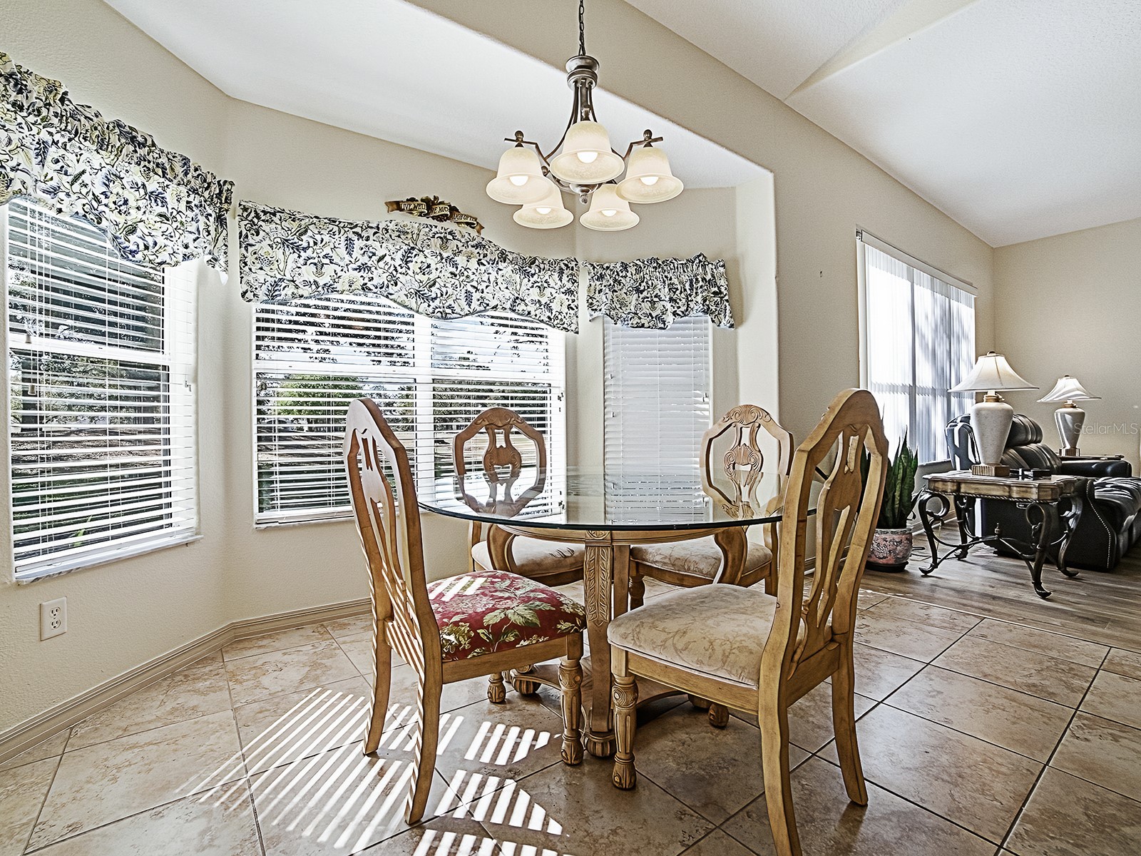 24239 Belle Mede Drive Leesburg FL 34748 G5107374 image29