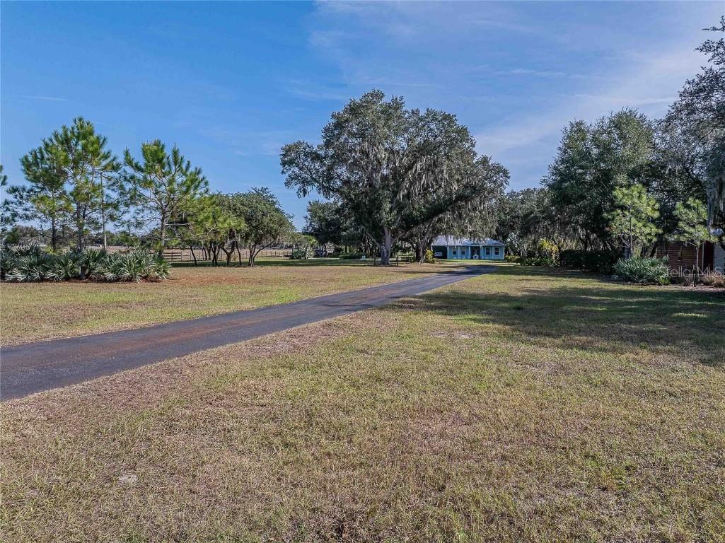 2424 Burns Avenue Lake Wales FL 33898 L4957741 image69