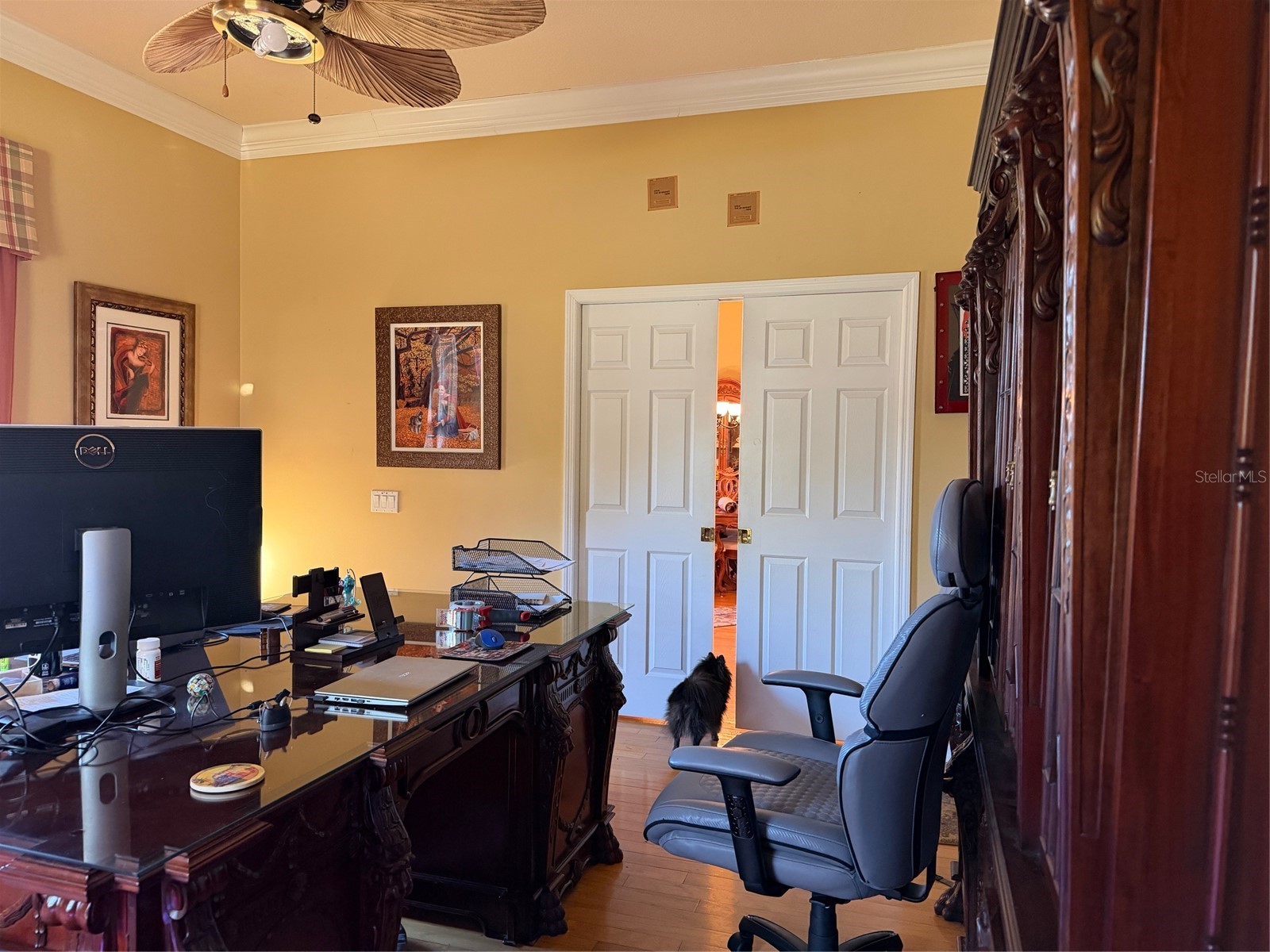 2424 Dekan Lane Land O Lakes FL 34639 W7882836 image18