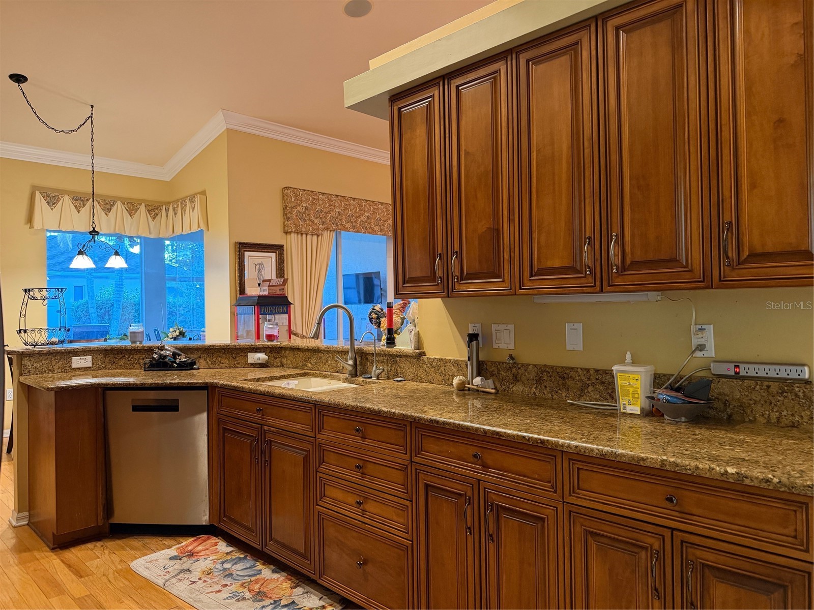 2424 Dekan Lane Land O Lakes FL 34639 W7882836 image21