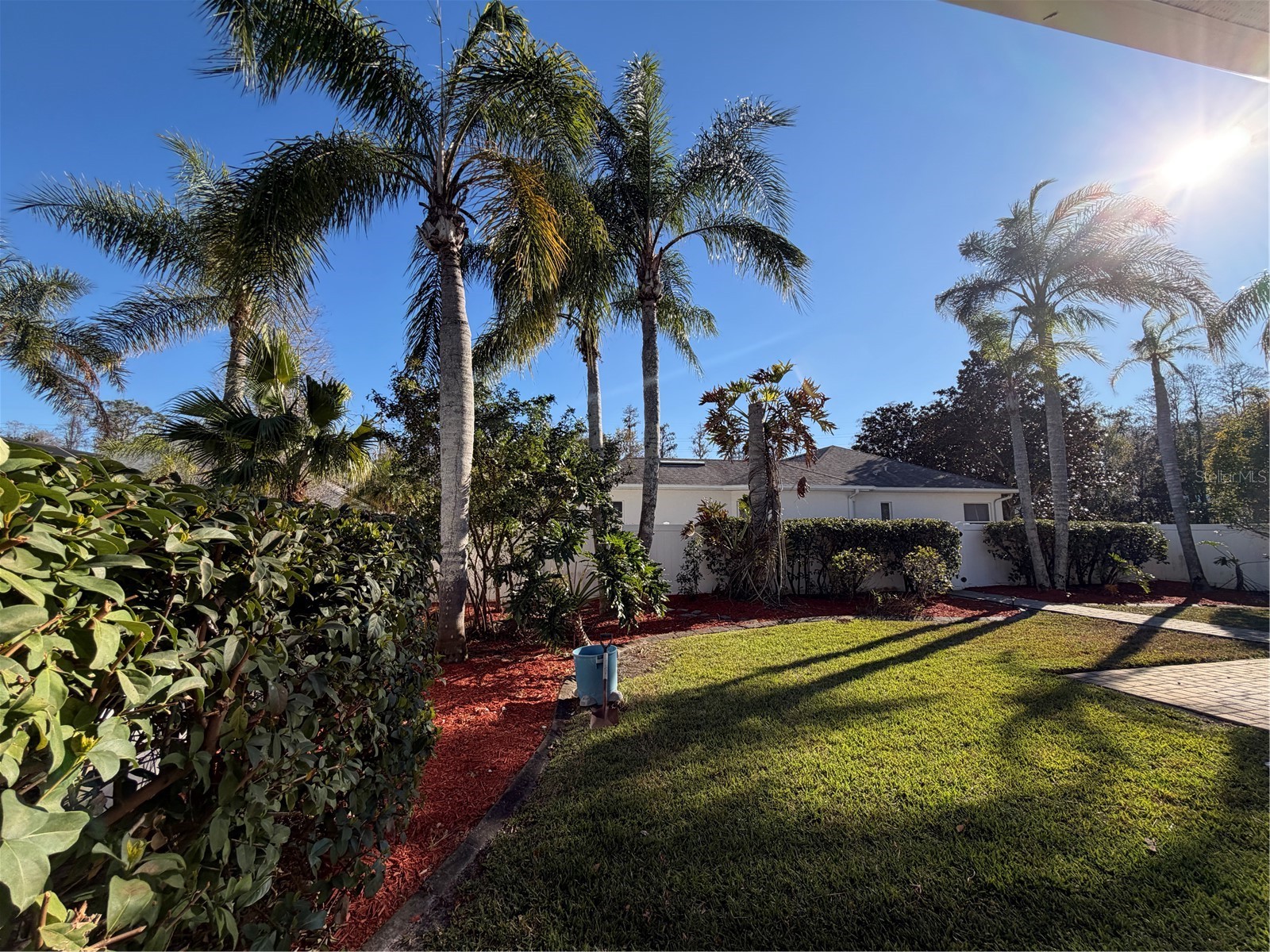 2424 Dekan Lane Land O Lakes FL 34639 W7882836 image3