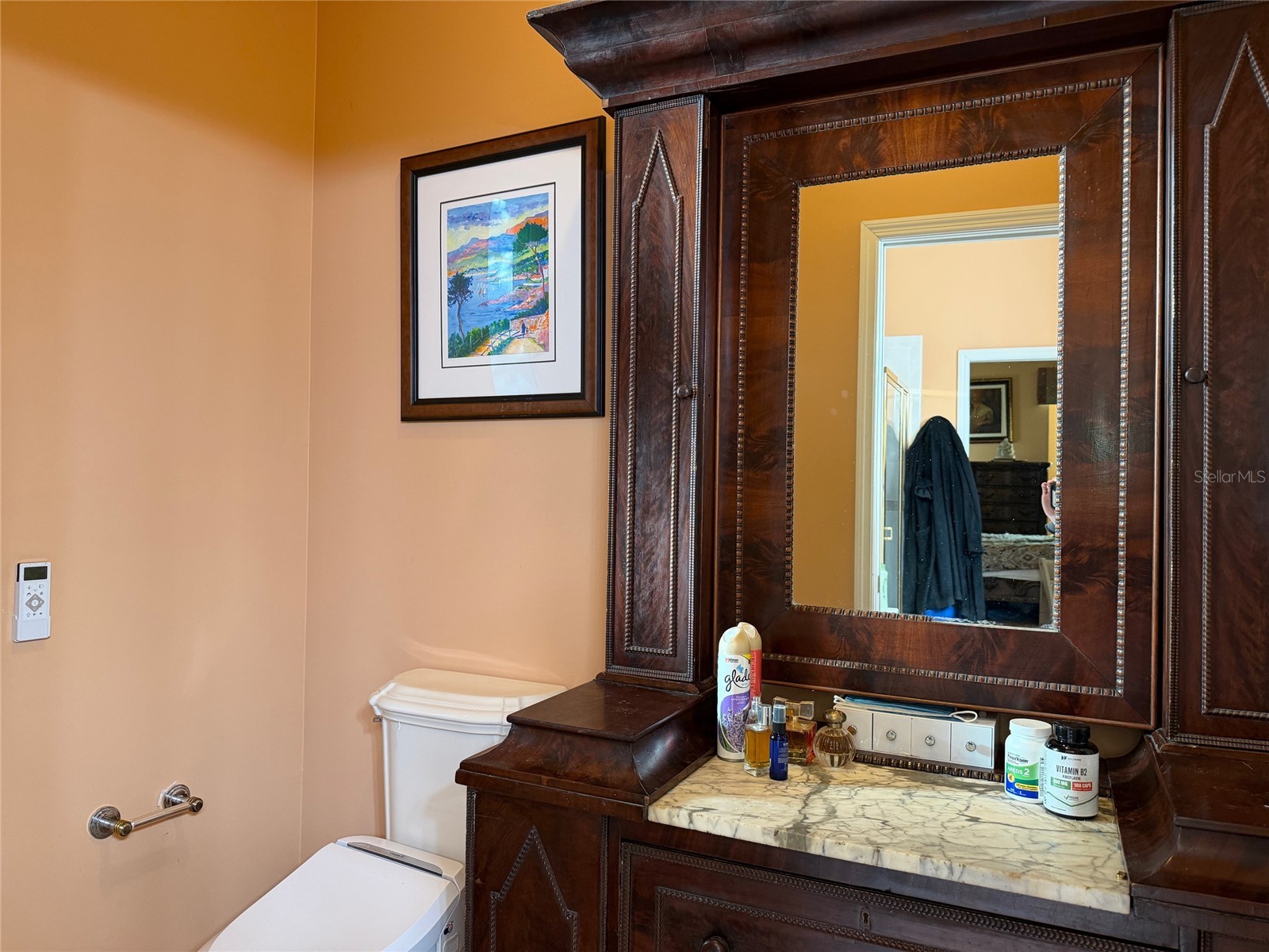2424 Dekan Lane Land O Lakes FL 34639 W7882836 image35