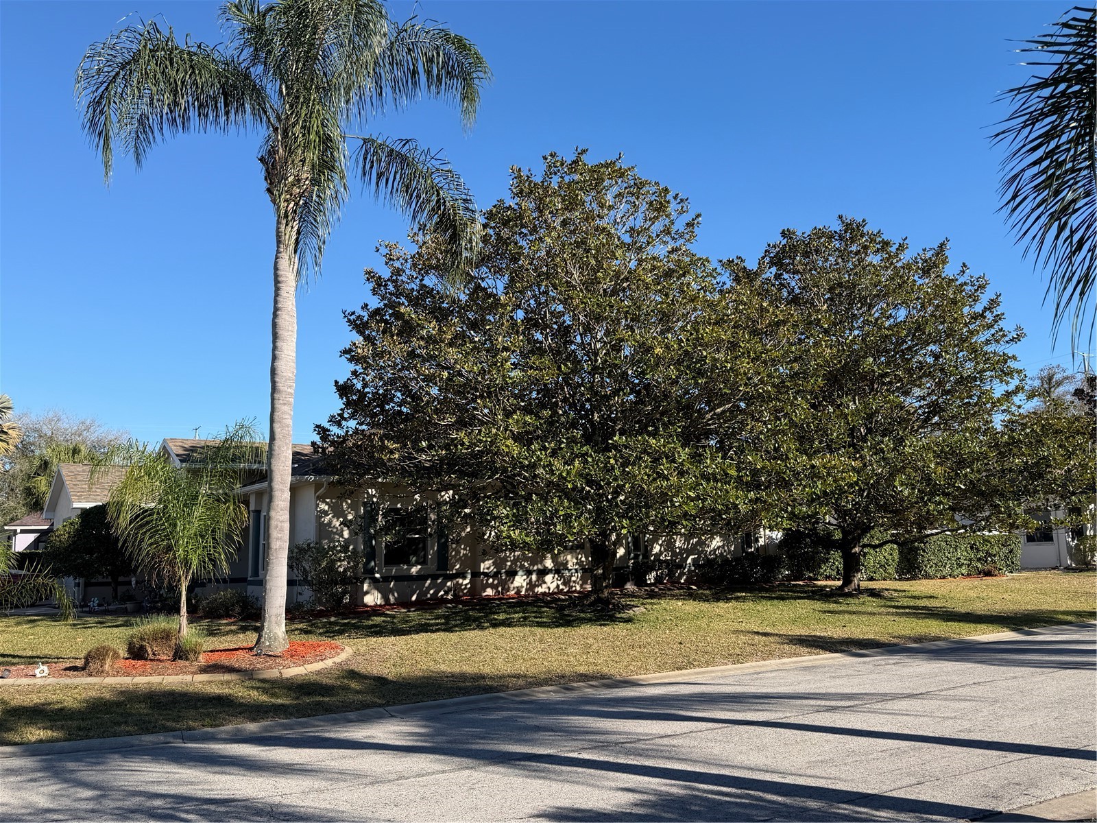 2424 Dekan Lane Land O Lakes FL 34639 W7882836 image58
