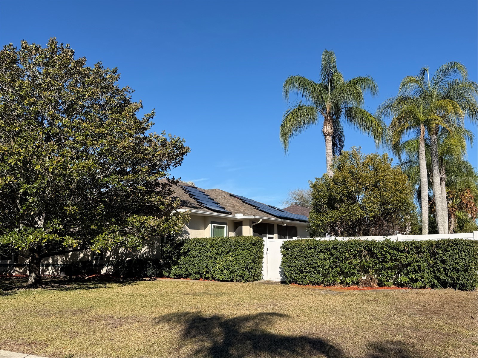 2424 Dekan Lane Land O Lakes FL 34639 W7882836 image59