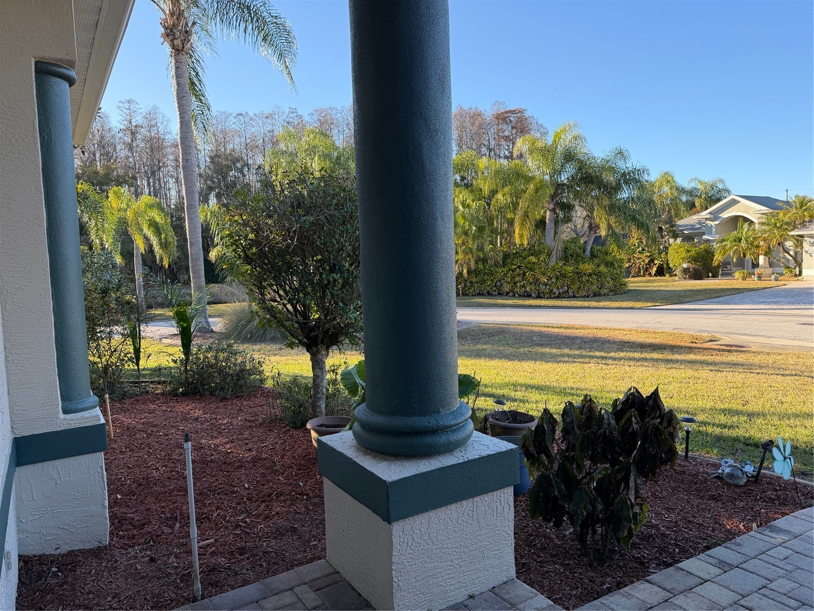 2424 Dekan Lane Land O Lakes FL 34639 W7882836 image7