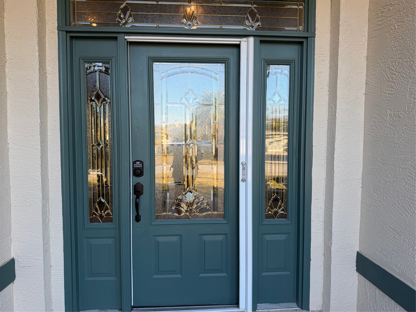 2424 Dekan Lane Land O Lakes FL 34639 W7882836 image8