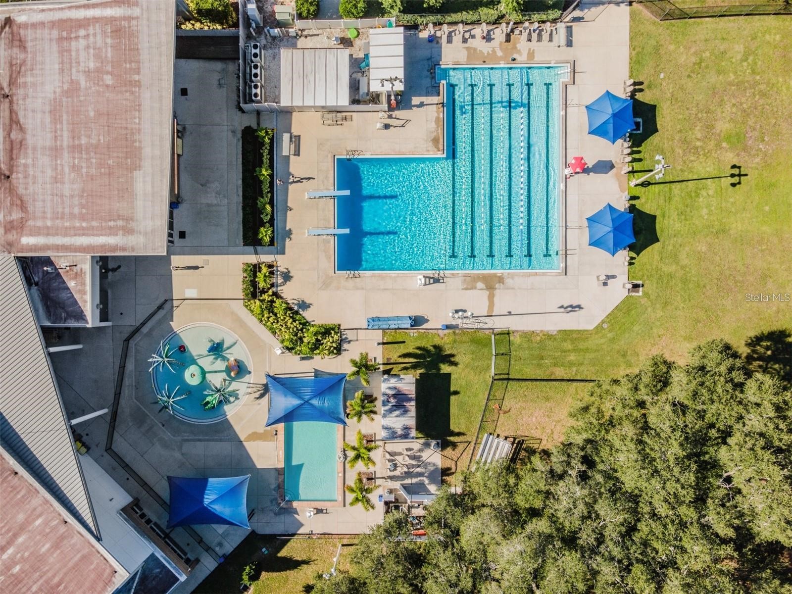2424 Fairbanks Drive Clearwater FL 33764 TB8501951 image29