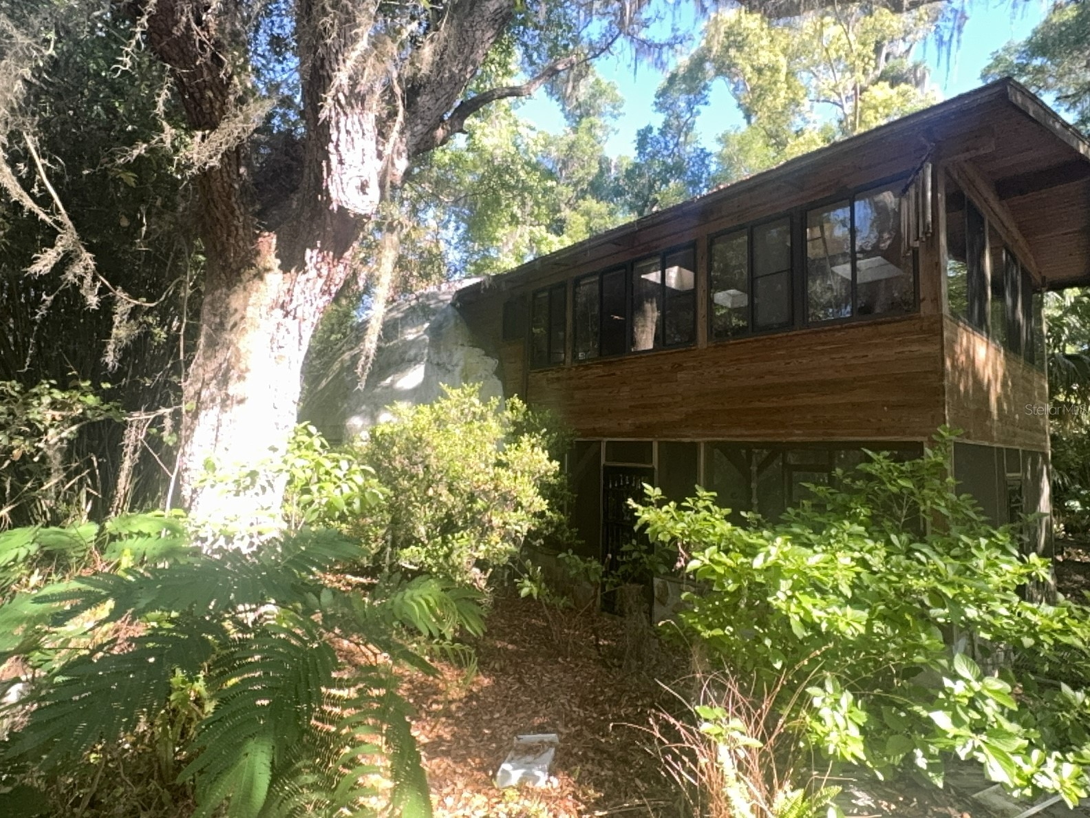 2424 NE 170th Street Citra FL 32113 OM723731 image19