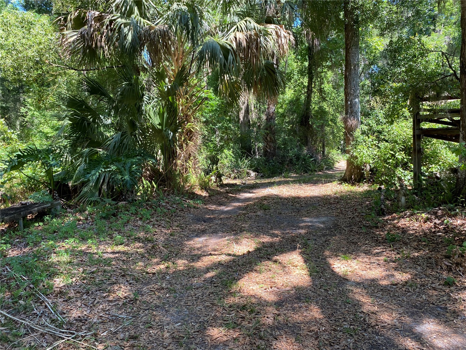 2424 NE 170th Street Citra FL 32113 OM723731 image48