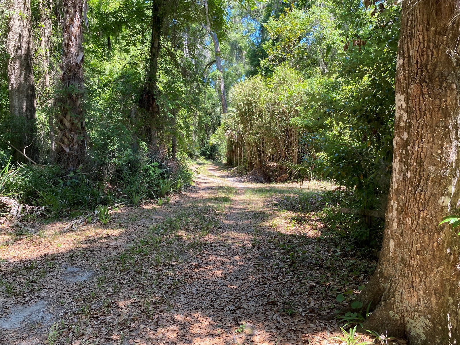 2424 NE 170th Street Citra FL 32113 OM723731 image49