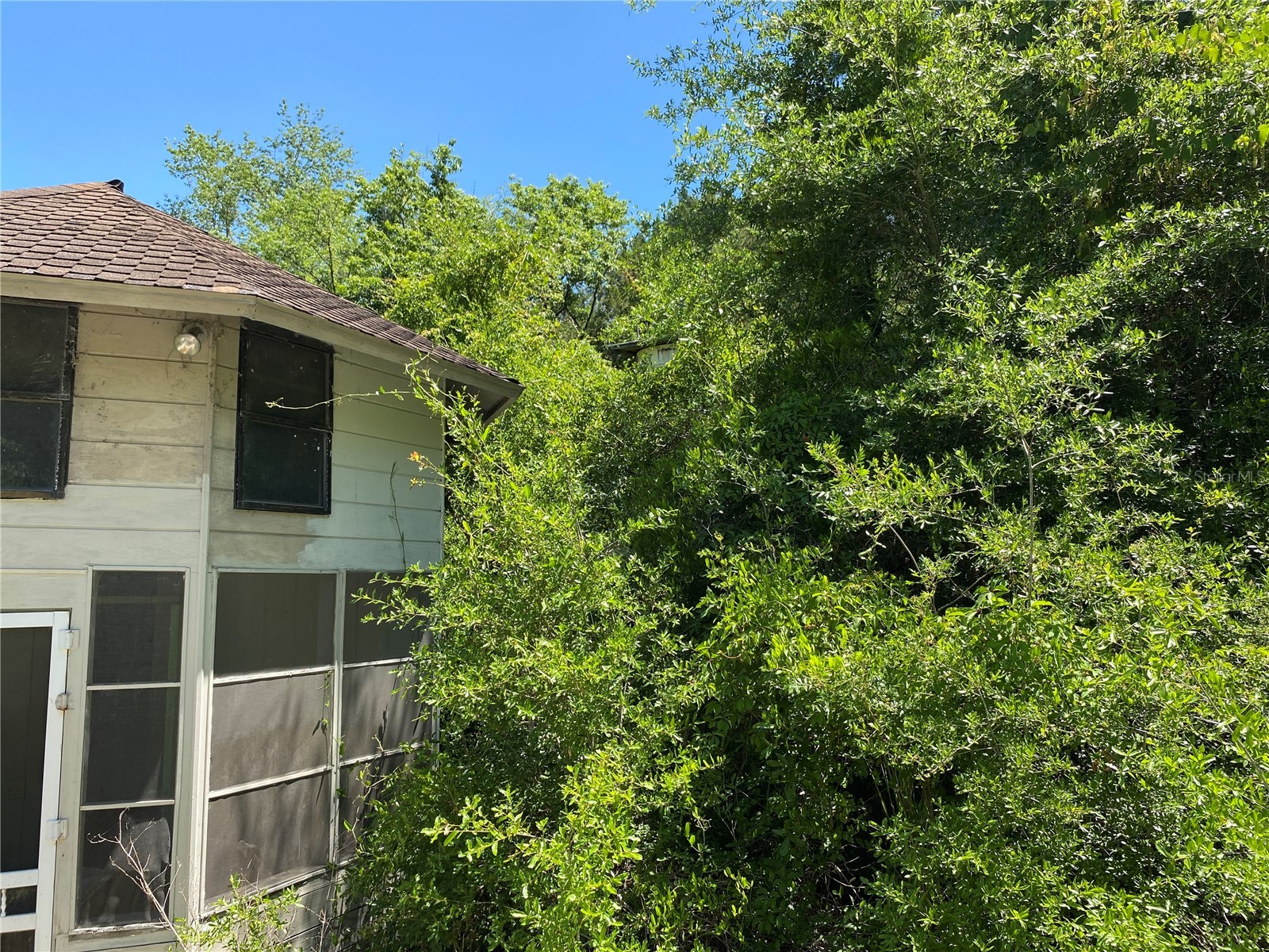 2424 NE 170th Street Citra FL 32113 OM723731 image50
