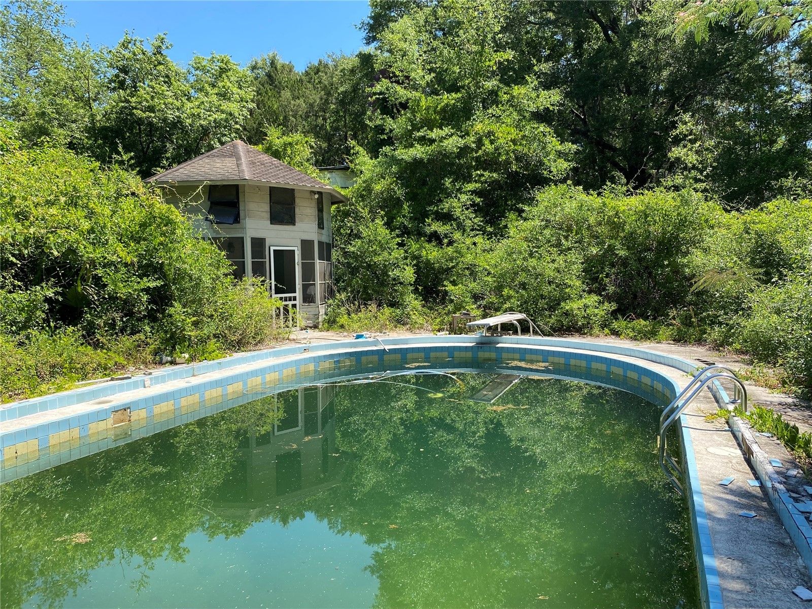 2424 NE 170th Street Citra FL 32113 OM723731 image52