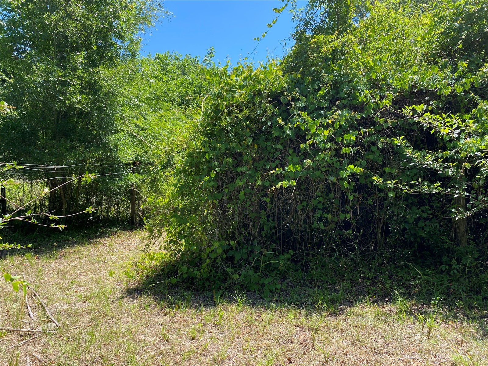 2424 NE 170th Street Citra FL 32113 OM723731 image53