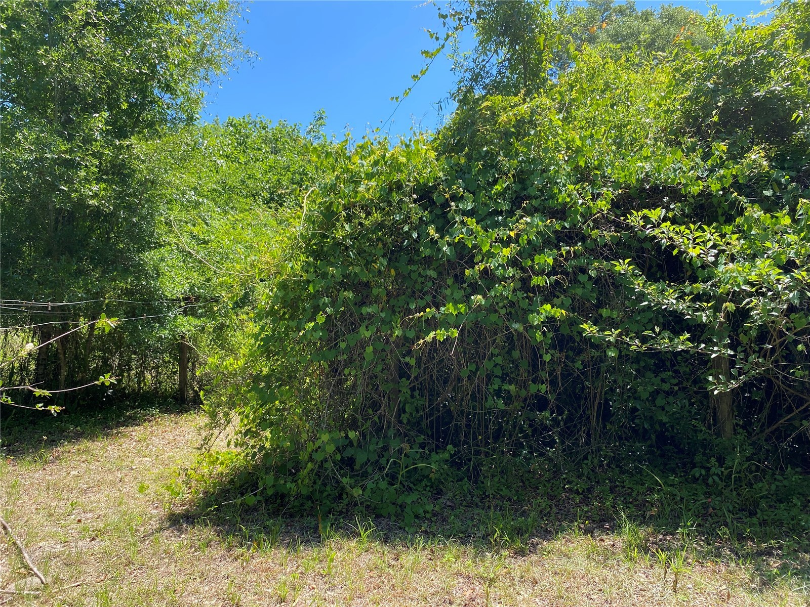 2424 NE 170th Street Citra FL 32113 OM723731 image54