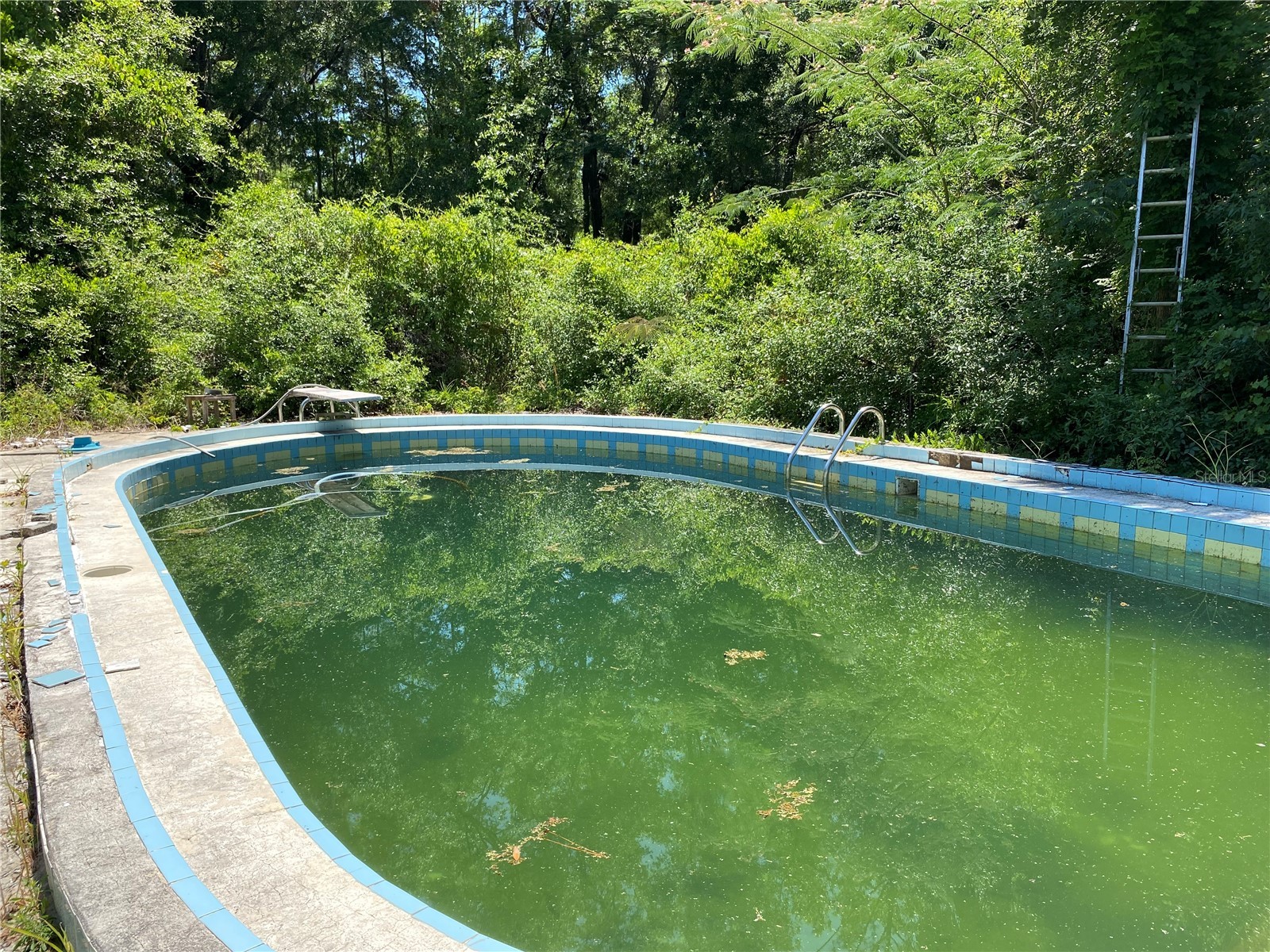 2424 NE 170th Street Citra FL 32113 OM723731 image55
