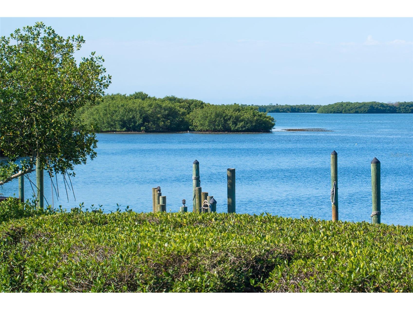 2424 Placida Road #C101 Englewood FL 34224 - LEMON BAY AQUATIC PRESERVE D6146323 image40