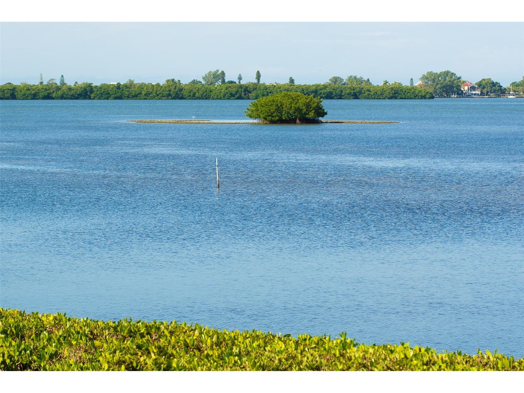 2424 Placida Road #C101 Englewood FL 34224 - LEMON BAY AQUATIC PRESERVE D6146323 image41